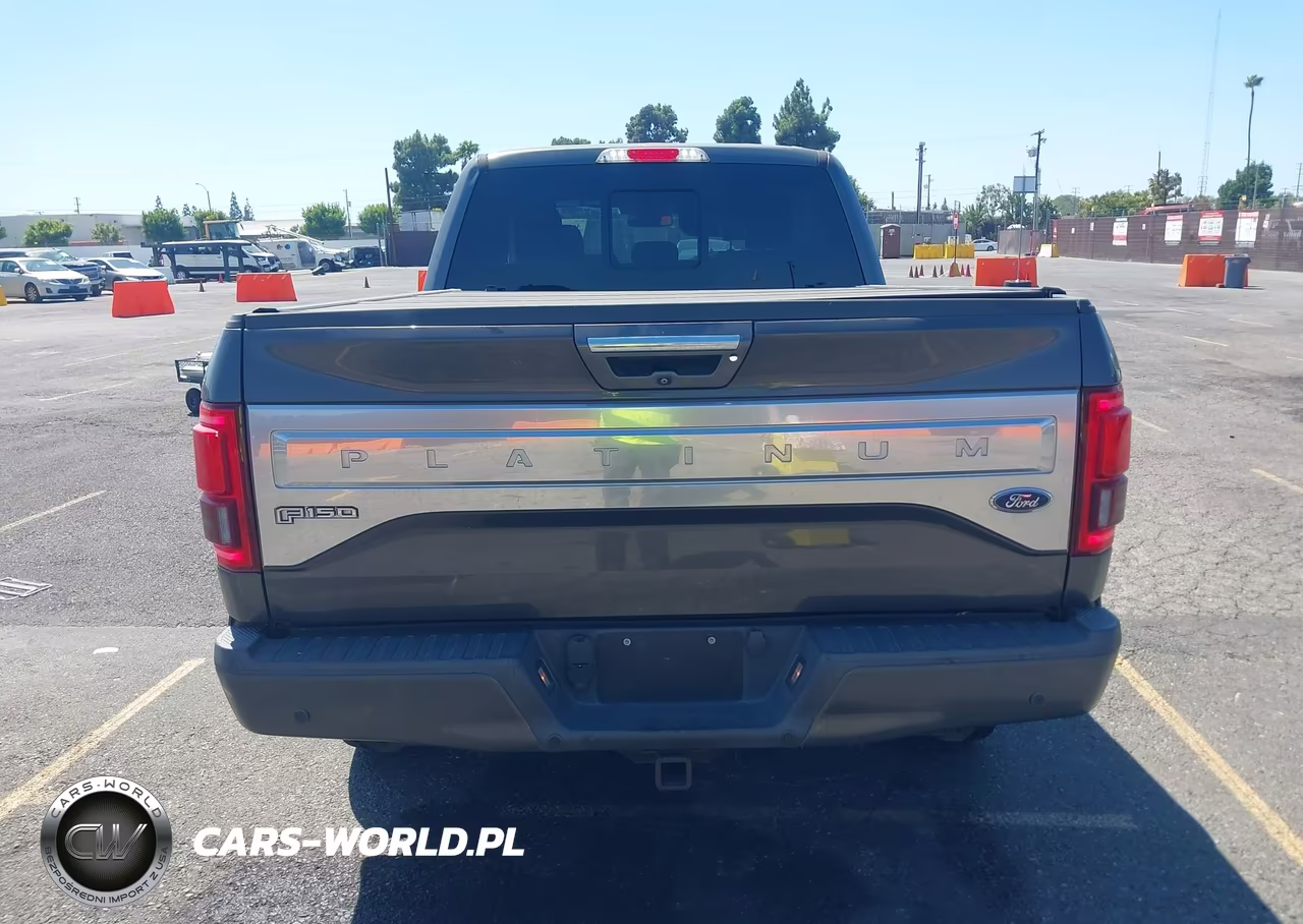 2016 Ford F-150 Platinum VIN:1FTFW1EG1GFB70539 - 15