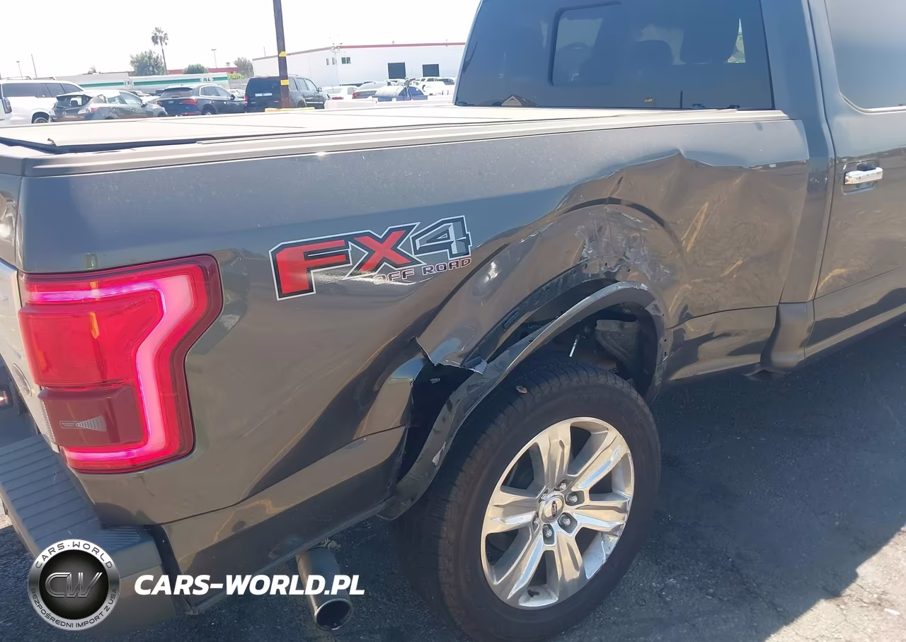 2016 Ford F-150 Platinum VIN:1FTFW1EG1GFB70539 - 16