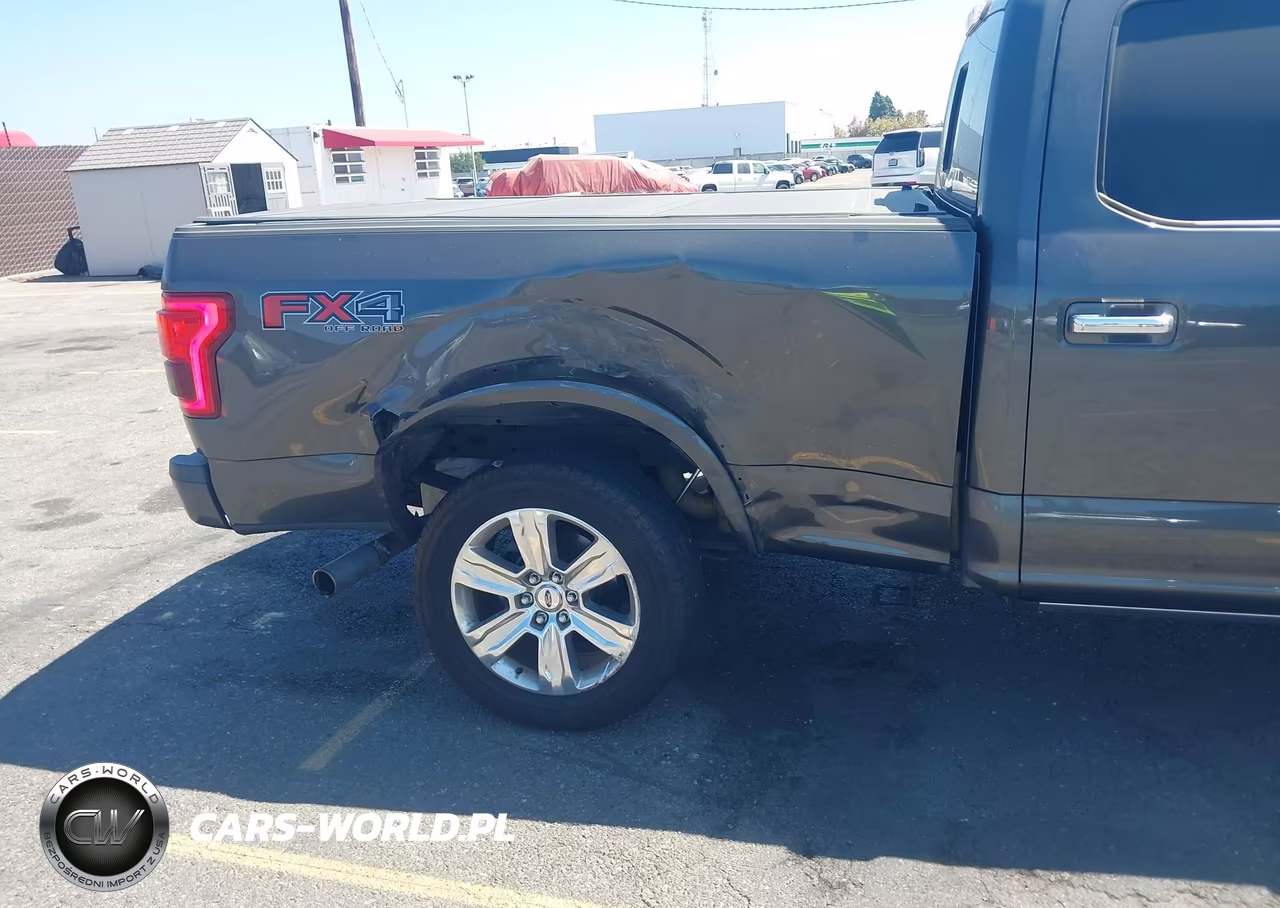 2016 Ford F-150 Platinum VIN:1FTFW1EG1GFB70539 - 6