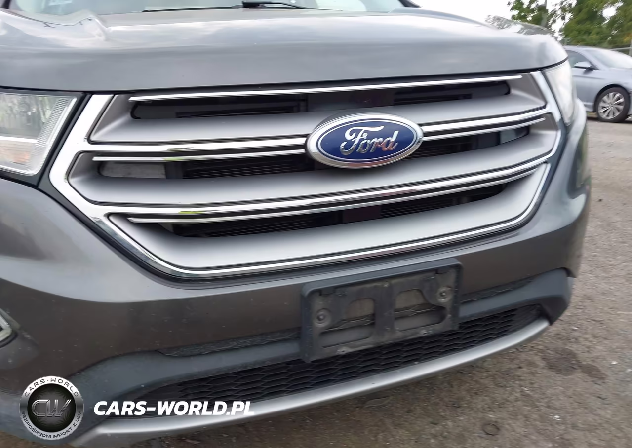 2016 Ford Edge Sel VIN:2FMPK4J96GBB99542 - 6