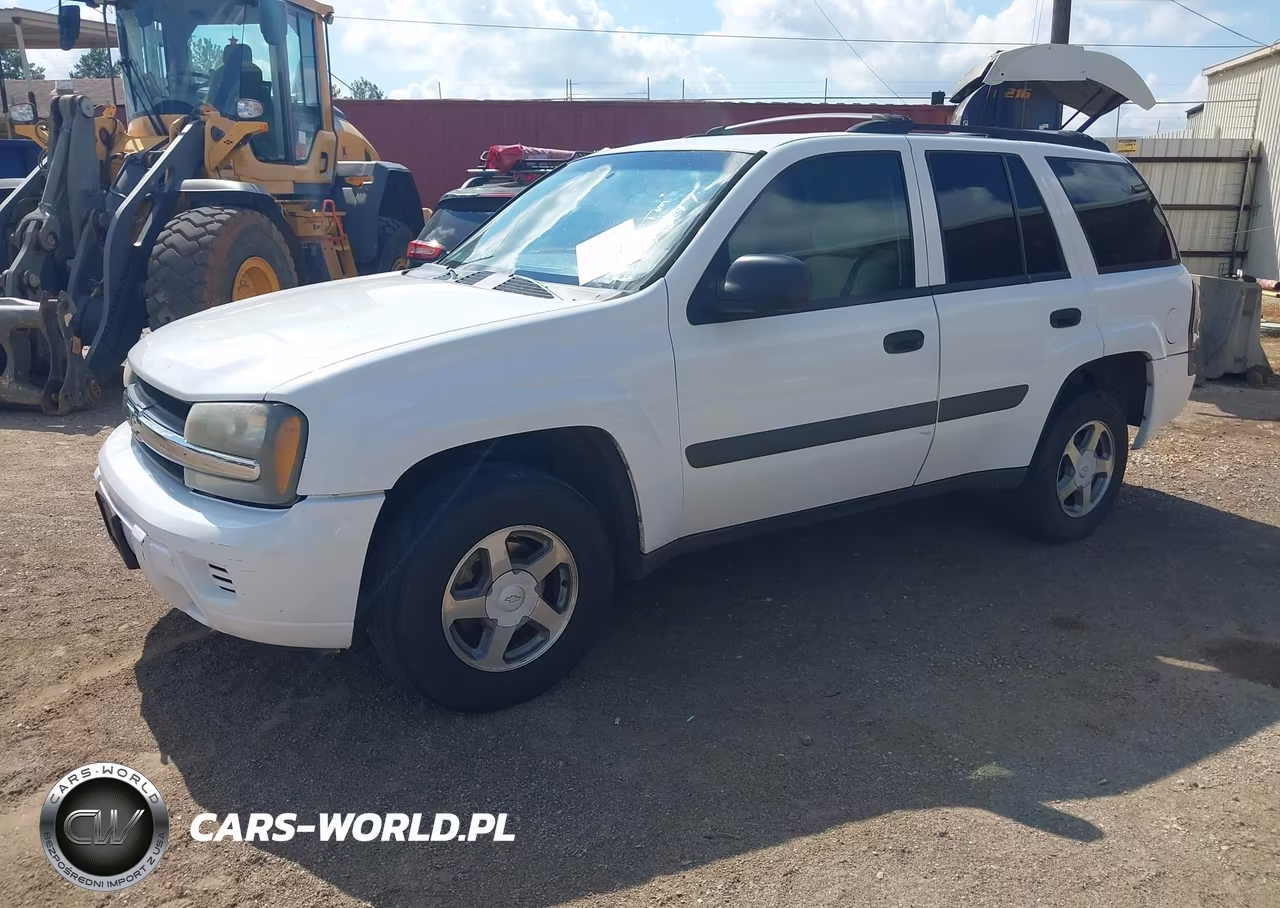 2005 Chevrolet Trailblazer Ls VIN:1GNDS13S352157247 - 2