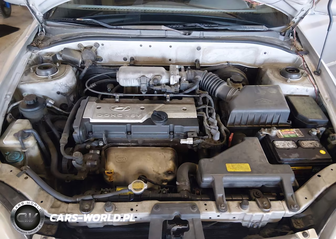 2005 Hyundai Accent Gls VIN:KMHCG45CX5U656883 - 10