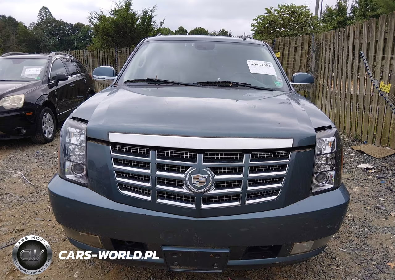2010 Cadillac Escalade Esv Premium VIN:1GYUKJEF0AR184703 - 12