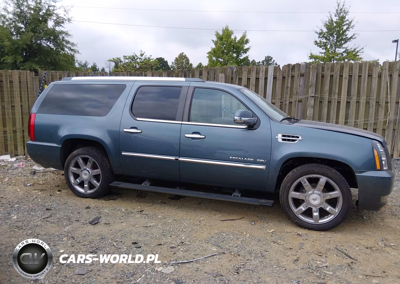 2010 Cadillac Escalade Esv Premium VIN:1GYUKJEF0AR184703 - 13