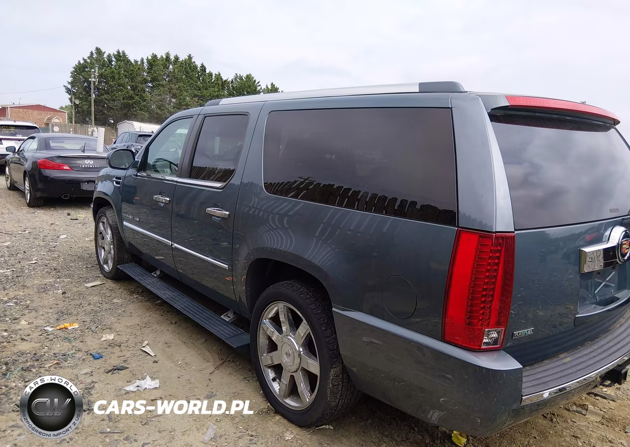 2010 Cadillac Escalade Esv Premium VIN:1GYUKJEF0AR184703 - 14