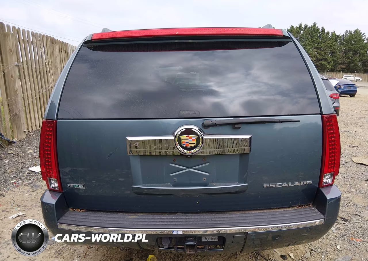 2010 Cadillac Escalade Esv Premium VIN:1GYUKJEF0AR184703 - 16