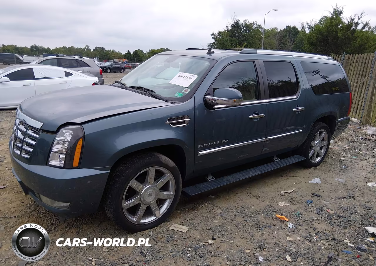 2010 Cadillac Escalade Esv Premium VIN:1GYUKJEF0AR184703 - 2