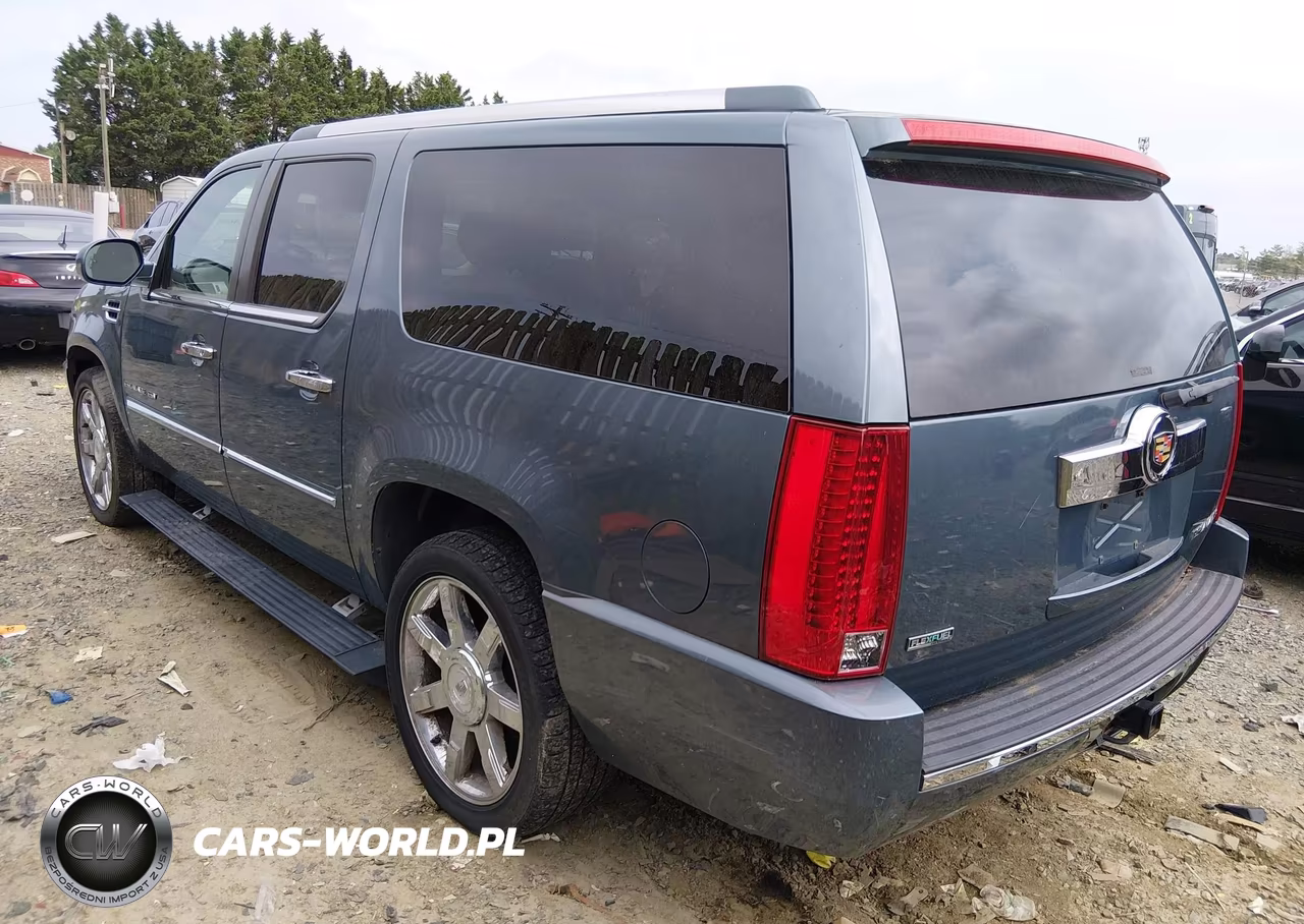 2010 Cadillac Escalade Esv Premium VIN:1GYUKJEF0AR184703 - 3