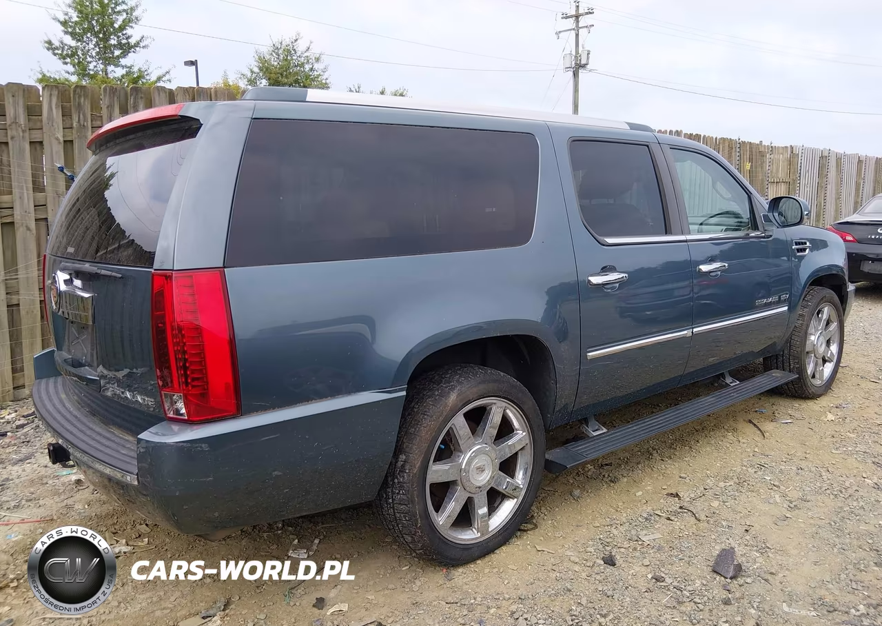 2010 Cadillac Escalade Esv Premium VIN:1GYUKJEF0AR184703 - 4