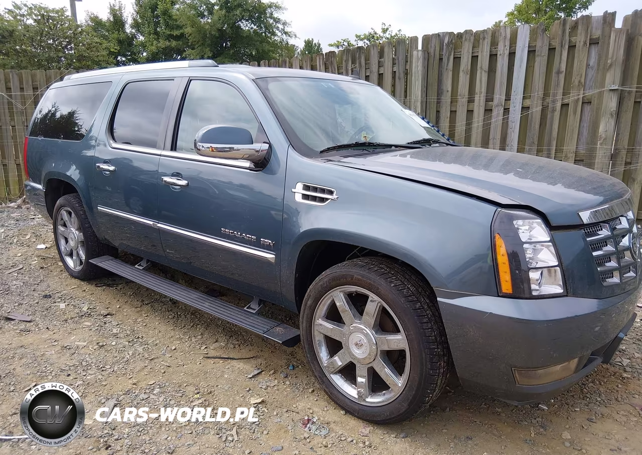 2010 Cadillac Escalade Esv Premium VIN:1GYUKJEF0AR184703 - 6