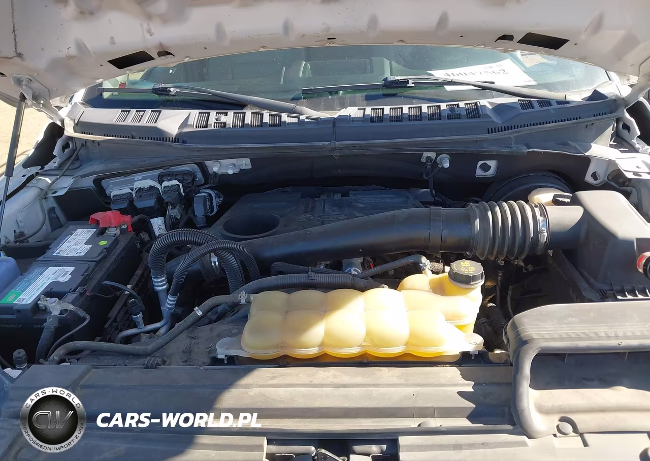 2020 Ford F-150 Xl VIN:1FTFW1C12LFC25346 - 10