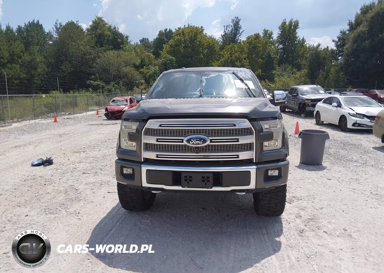2015 Ford F-150 Platinum VIN:1FTEW1EG9FFC76330 - 13
