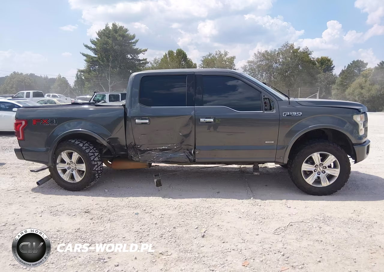 2015 Ford F-150 Platinum VIN:1FTEW1EG9FFC76330 - 14