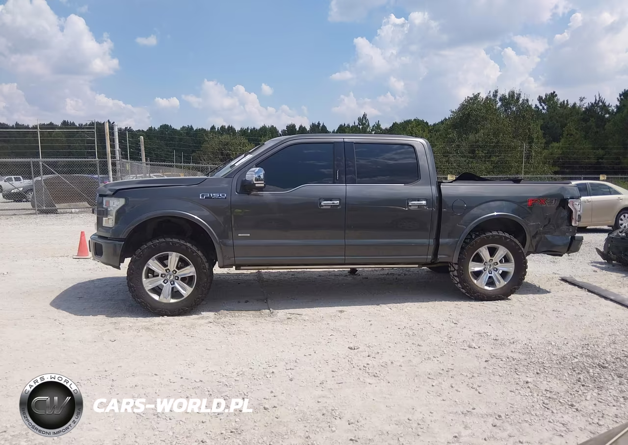 2015 Ford F-150 Platinum VIN:1FTEW1EG9FFC76330 - 15