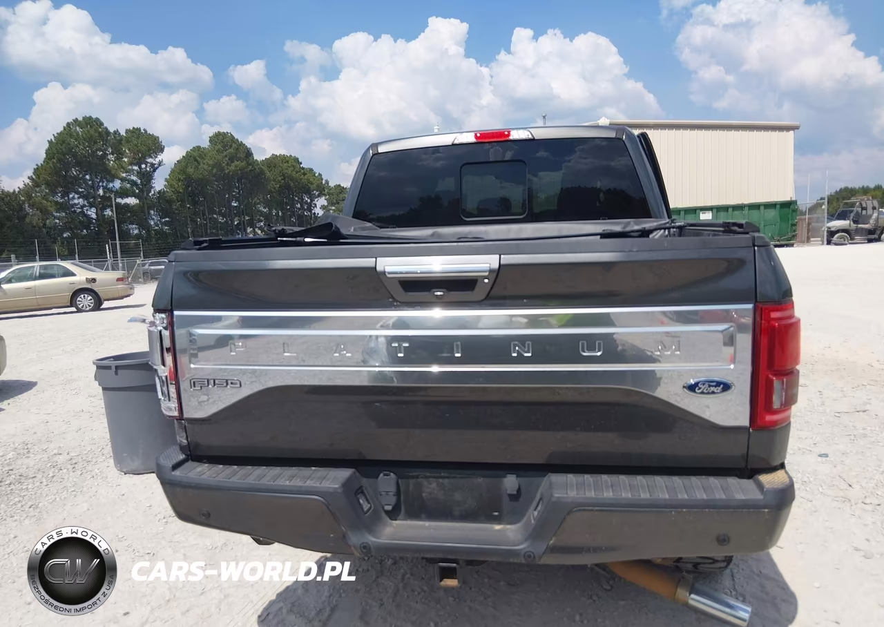 2015 Ford F-150 Platinum VIN:1FTEW1EG9FFC76330 - 17