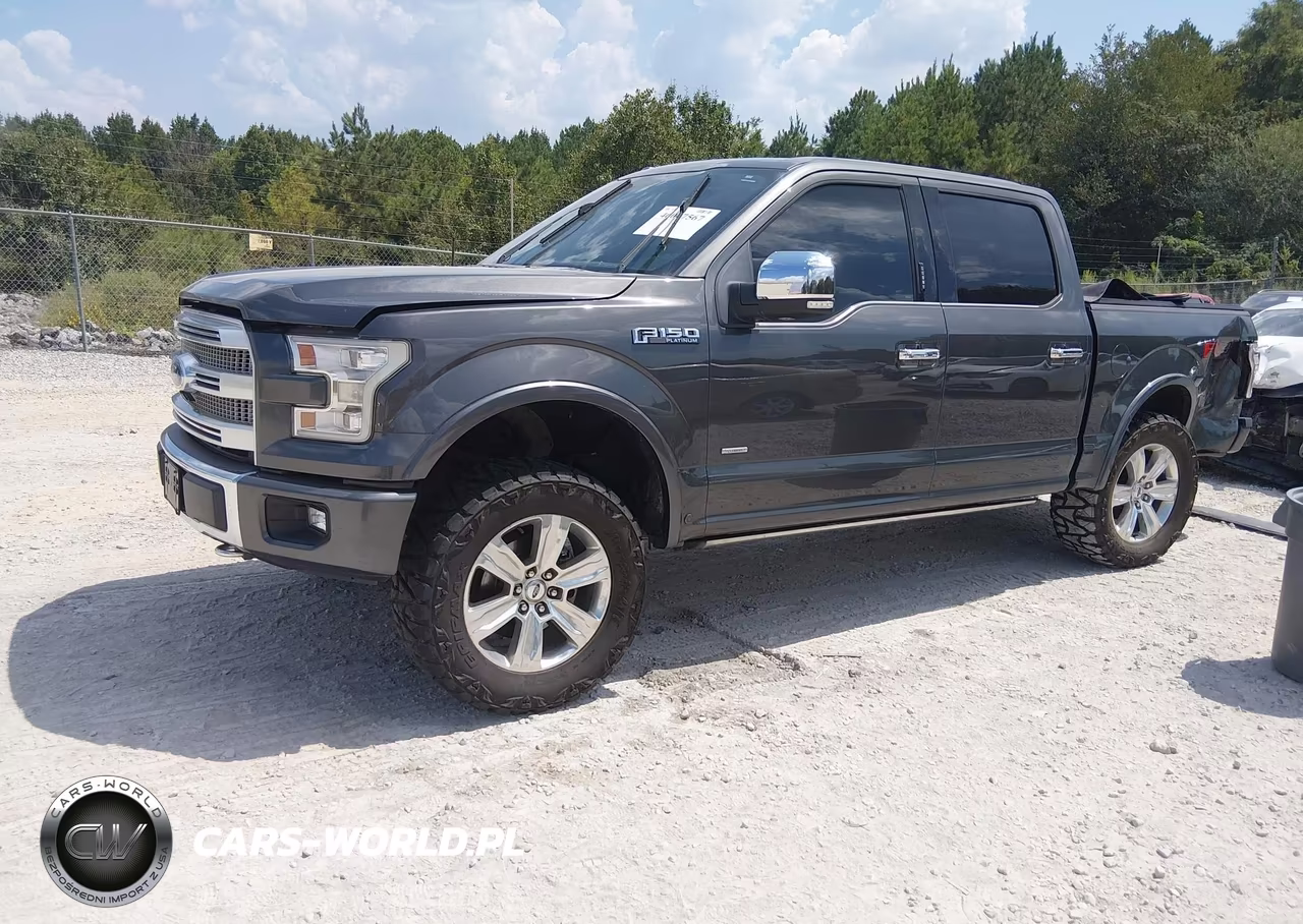 2015 Ford F-150 Platinum VIN:1FTEW1EG9FFC76330 - 2