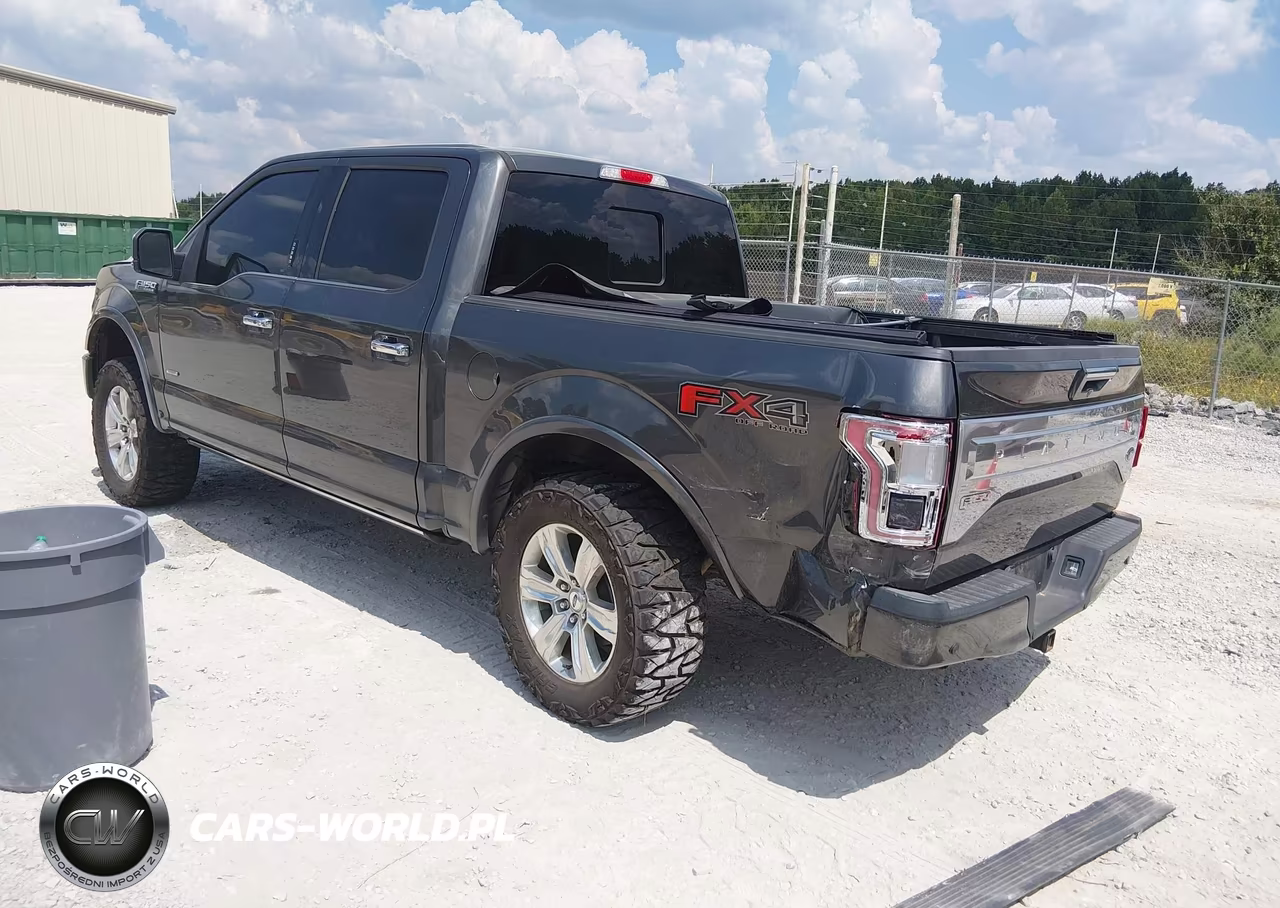 2015 Ford F-150 Platinum VIN:1FTEW1EG9FFC76330 - 3