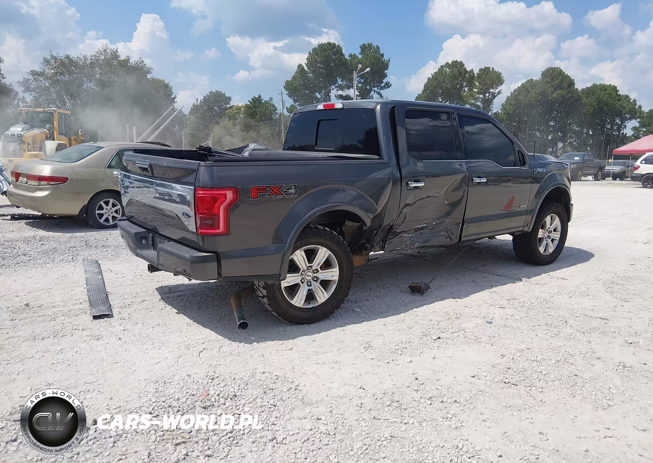 2015 Ford F-150 Platinum VIN:1FTEW1EG9FFC76330 - 4