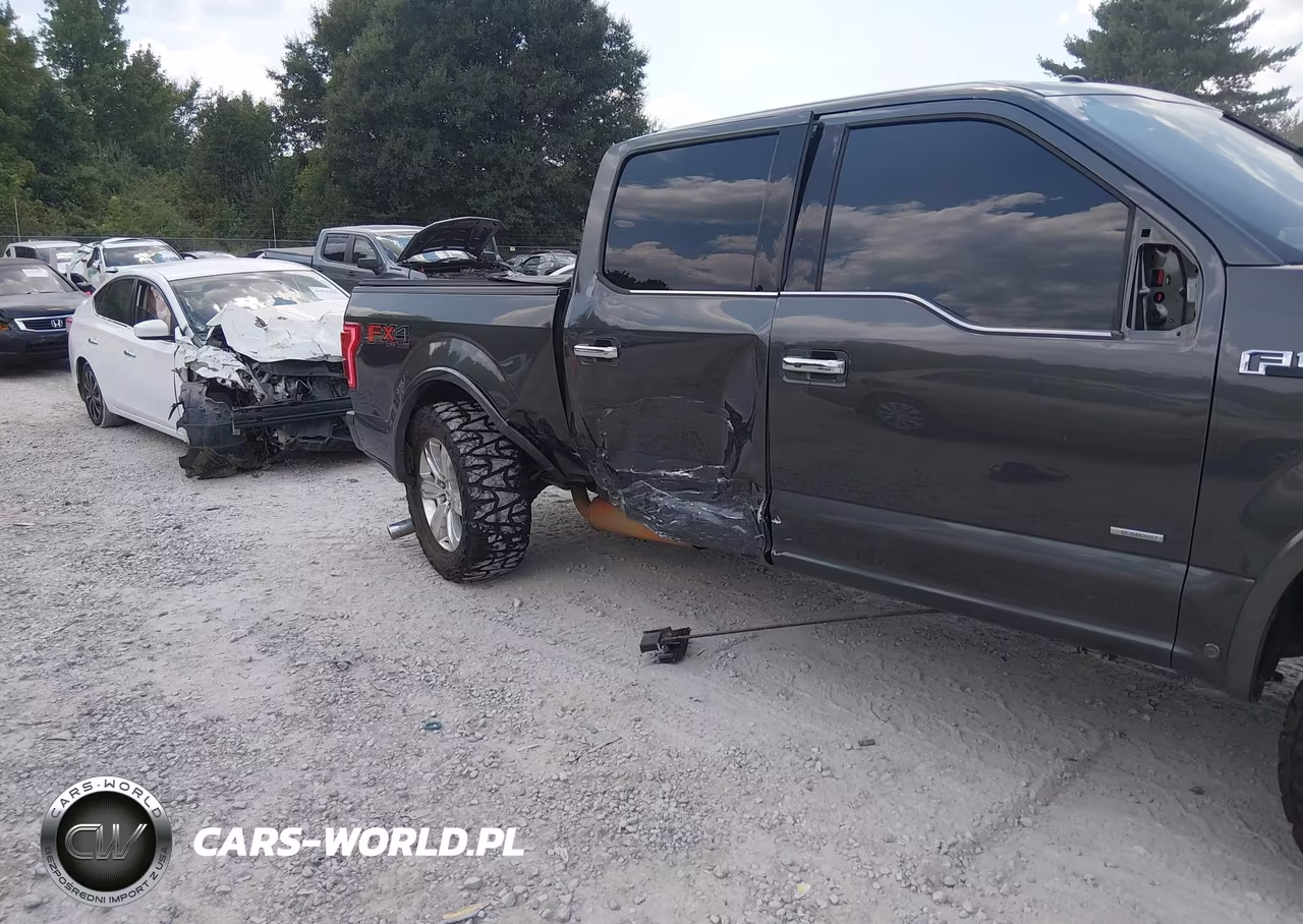 2015 Ford F-150 Platinum VIN:1FTEW1EG9FFC76330 - 6