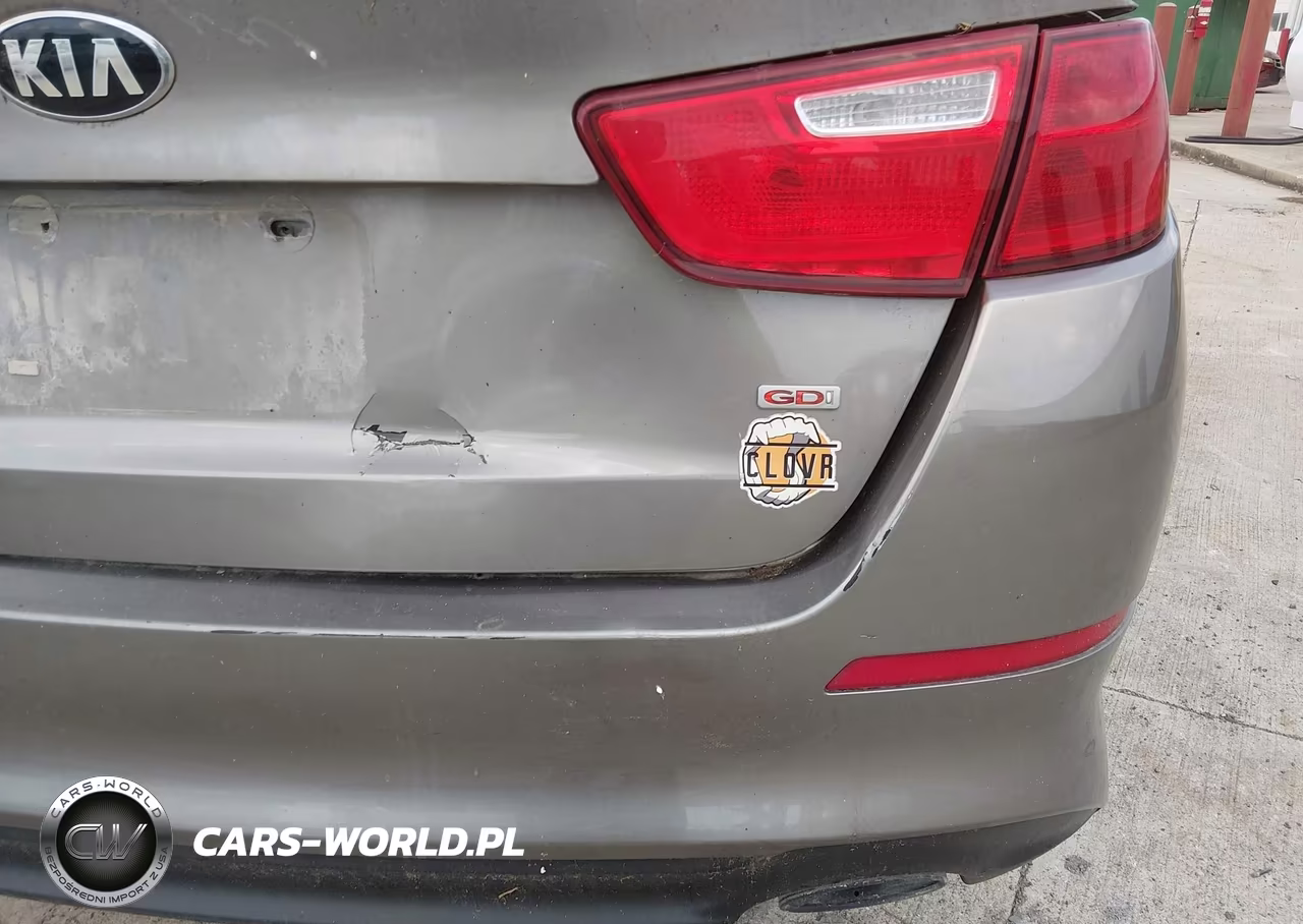 2015 Kia Optima Lx VIN:5XXGM4A7XFG418854 - 10