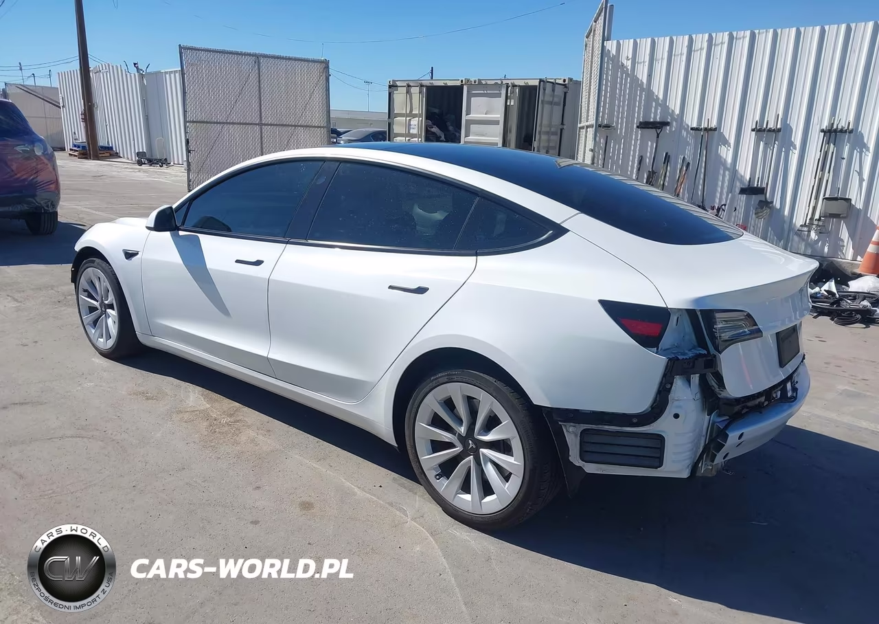 2023 Tesla Model 3 Rear-Wheel Drive VIN:5YJ3E1EA6PF481681 - 3
