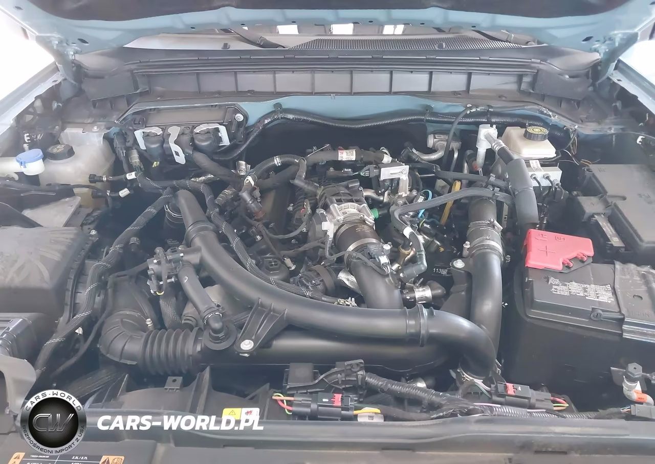 2023 Ford Bronco Badlands VIN:1FMEE5DP7PLC07727 - 10