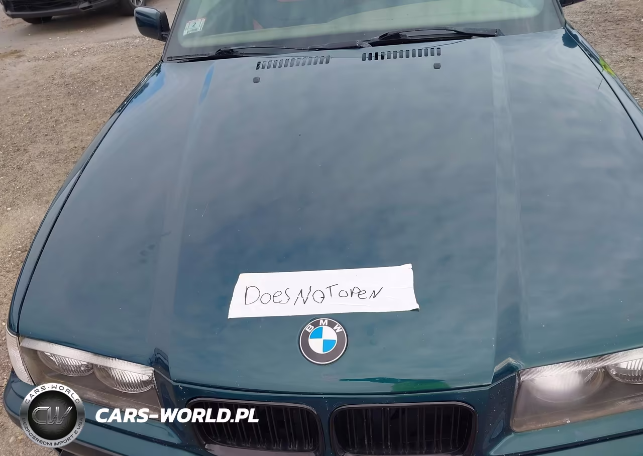 1994 BMW 325 Ic Automatic VIN:WBABJ6323RJD32916 - 10