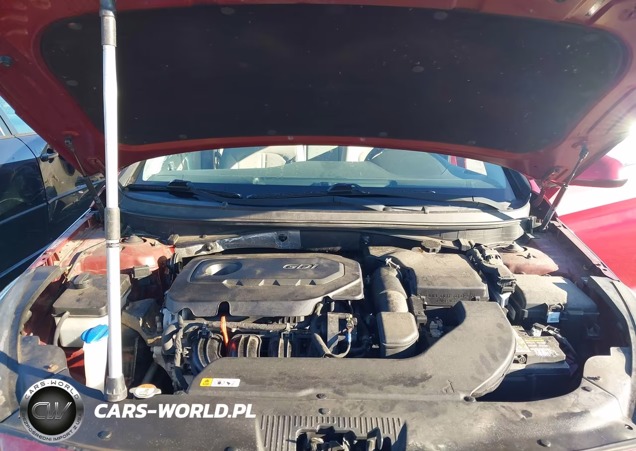 2016 Hyundai Sonata VIN:5NPE24AF8GH419012 - 10