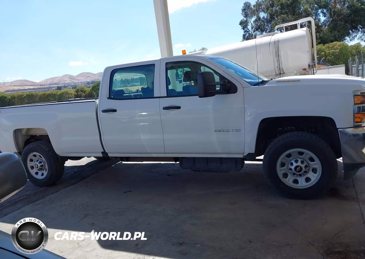 2017 Chevrolet Silverado 3500Hd Wt VIN:1GC4KYCYXHF199983 - 17