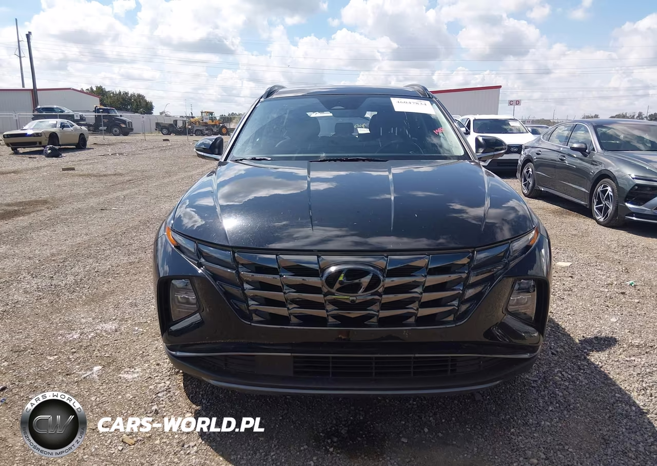 2024 Hyundai Tucson Limited VIN:5NMJE3DE1RH365345 - 13