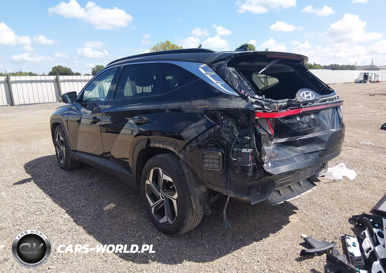 2024 Hyundai Tucson Limited VIN:5NMJE3DE1RH365345 - 3
