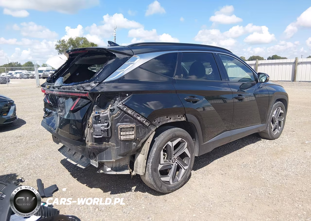 2024 Hyundai Tucson Limited VIN:5NMJE3DE1RH365345 - 4