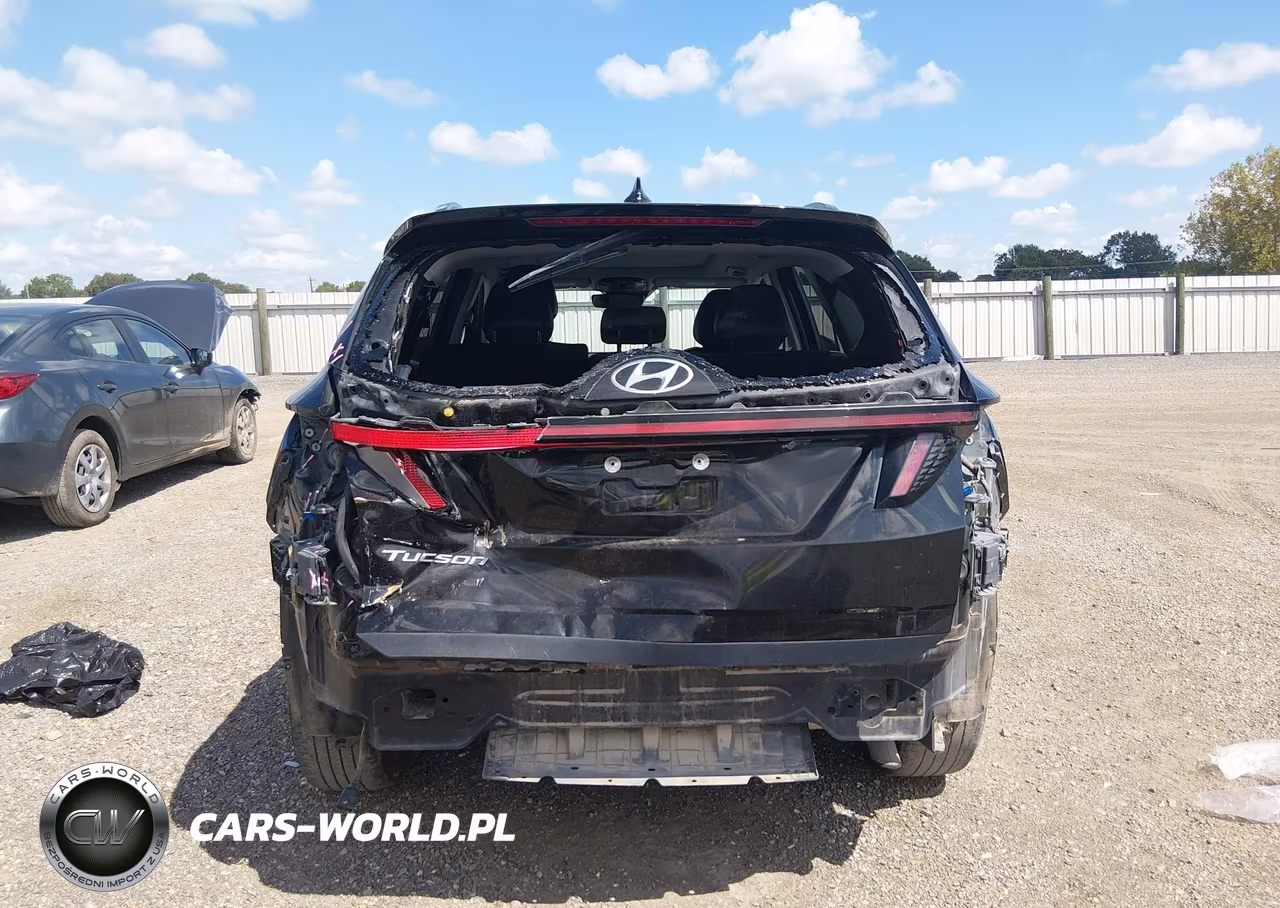2024 Hyundai Tucson Limited VIN:5NMJE3DE1RH365345 - 6
