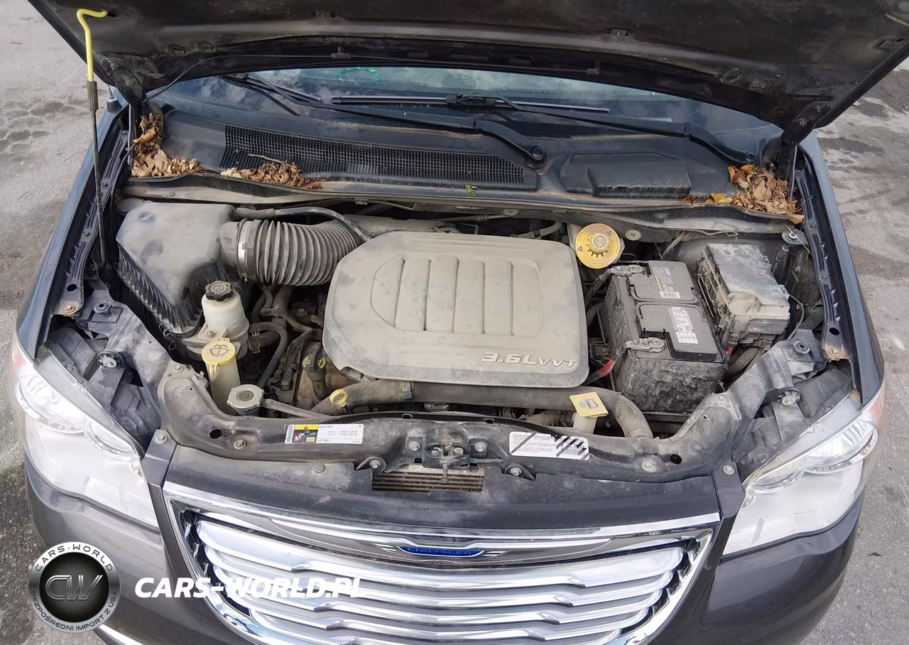 2014 Chrysler Town & Country Touring-L 30Th Anniversary VIN:2C4RC1CG3ER224695 - 10