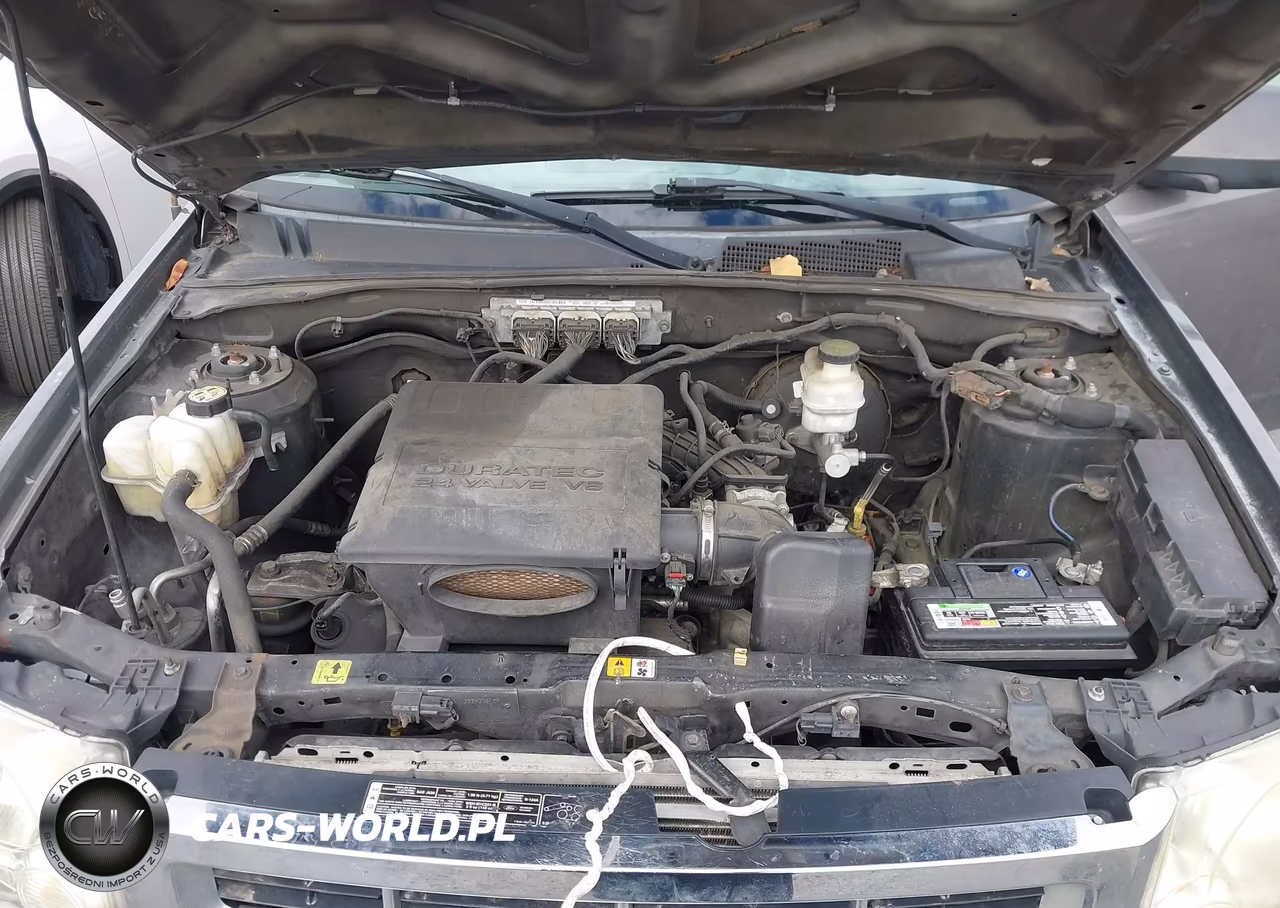 2011 Ford Escape Xlt VIN:1FMCU9DG0BKC65176 - 10