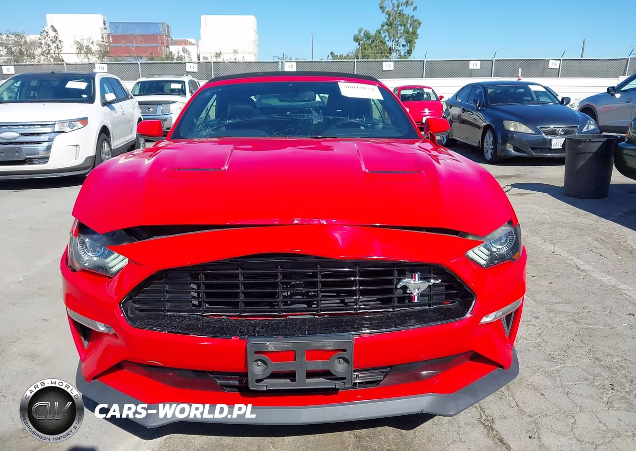 2019 Ford Mustang Gt Premium VIN:1FATP8FF2K5198871 - 12