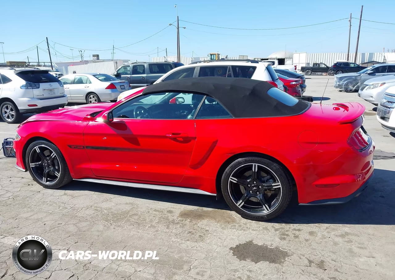 2019 Ford Mustang Gt Premium VIN:1FATP8FF2K5198871 - 14