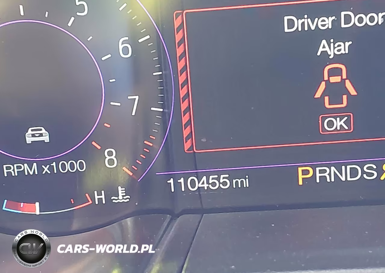 2019 Ford Mustang Gt Premium VIN:1FATP8FF2K5198871 - 15