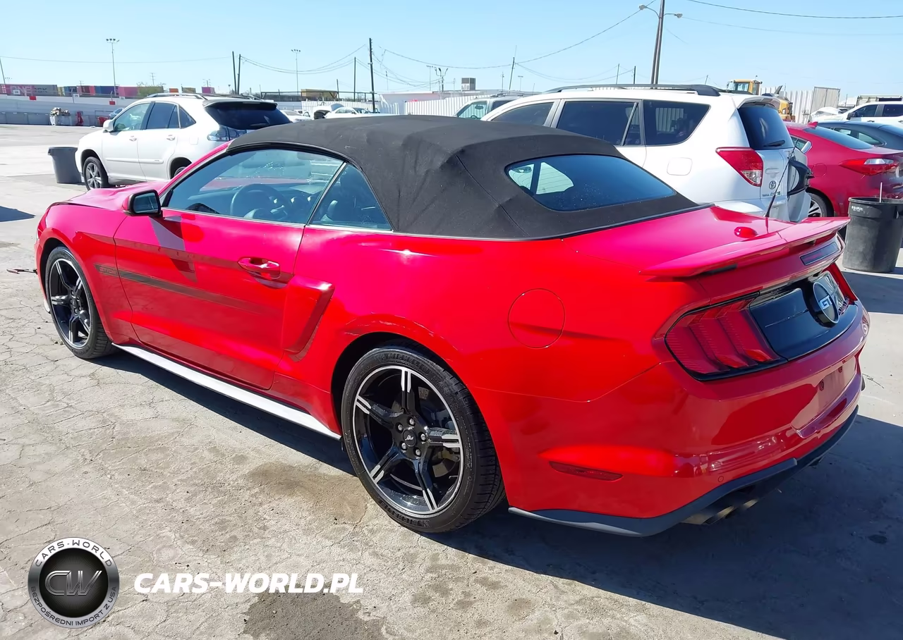 2019 Ford Mustang Gt Premium VIN:1FATP8FF2K5198871 - 3