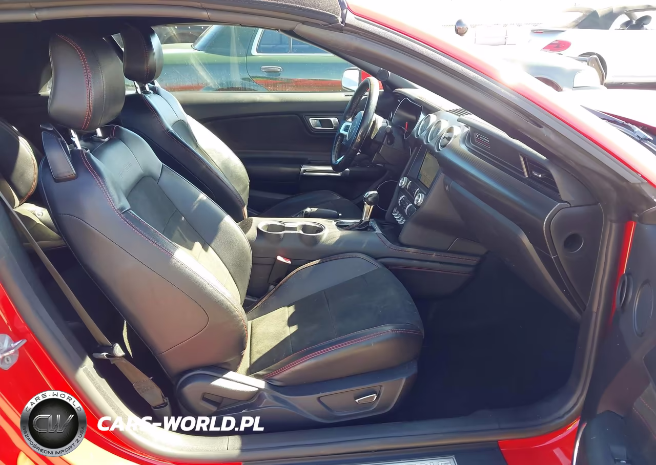 2019 Ford Mustang Gt Premium VIN:1FATP8FF2K5198871 - 5