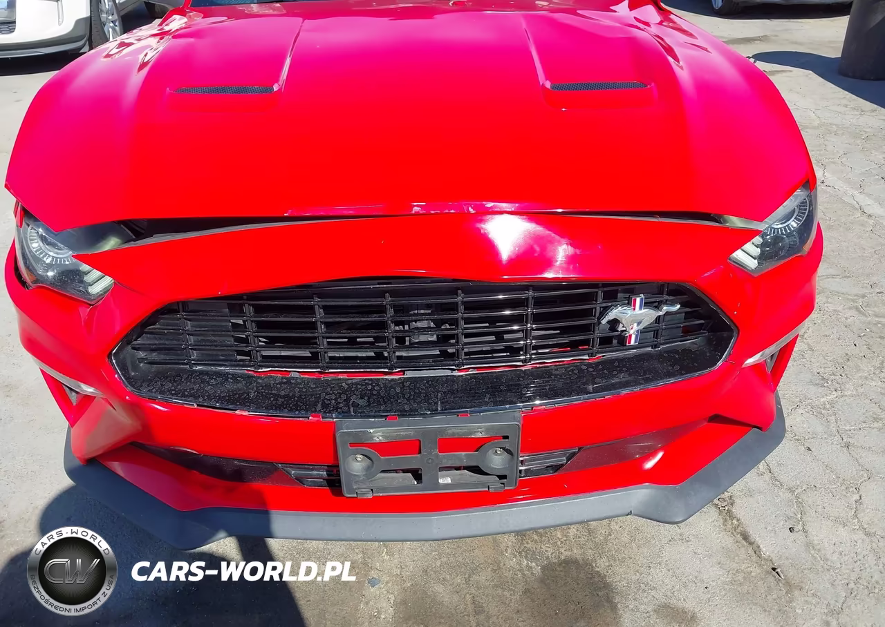 2019 Ford Mustang Gt Premium VIN:1FATP8FF2K5198871 - 6