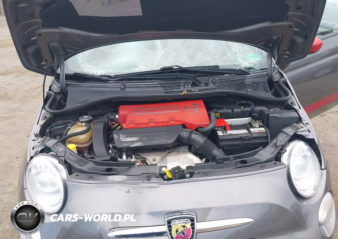 2013 Fiat 500 Abarth VIN:3C3CFFFH5DT573808 - 10