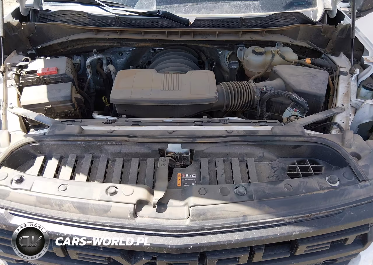 2023 Chevrolet Silverado 1500 4Wd Short Bed Custom Trail Boss VIN:3GCUDCED1PG149154 - 10