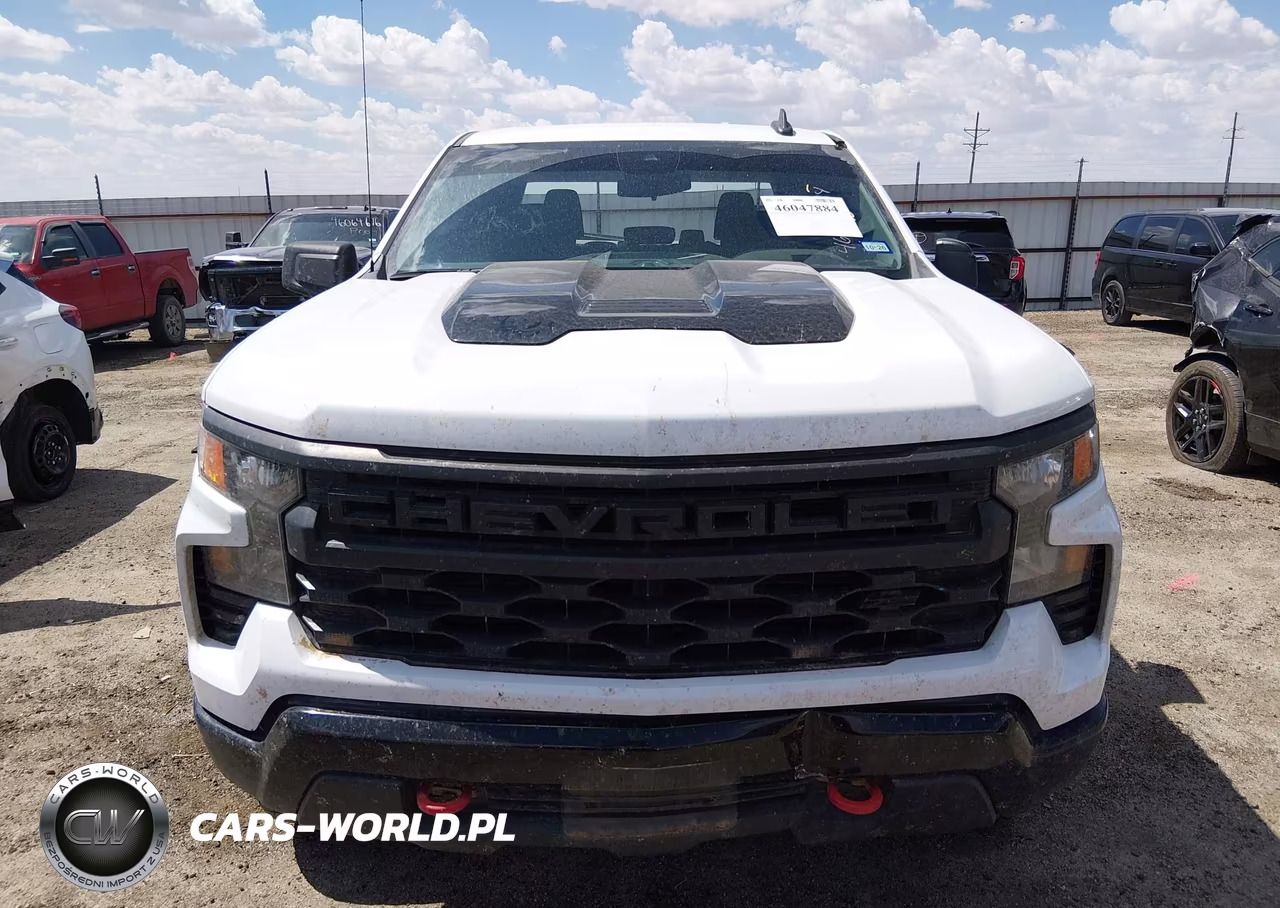2023 Chevrolet Silverado 1500 4Wd Short Bed Custom Trail Boss VIN:3GCUDCED1PG149154 - 13