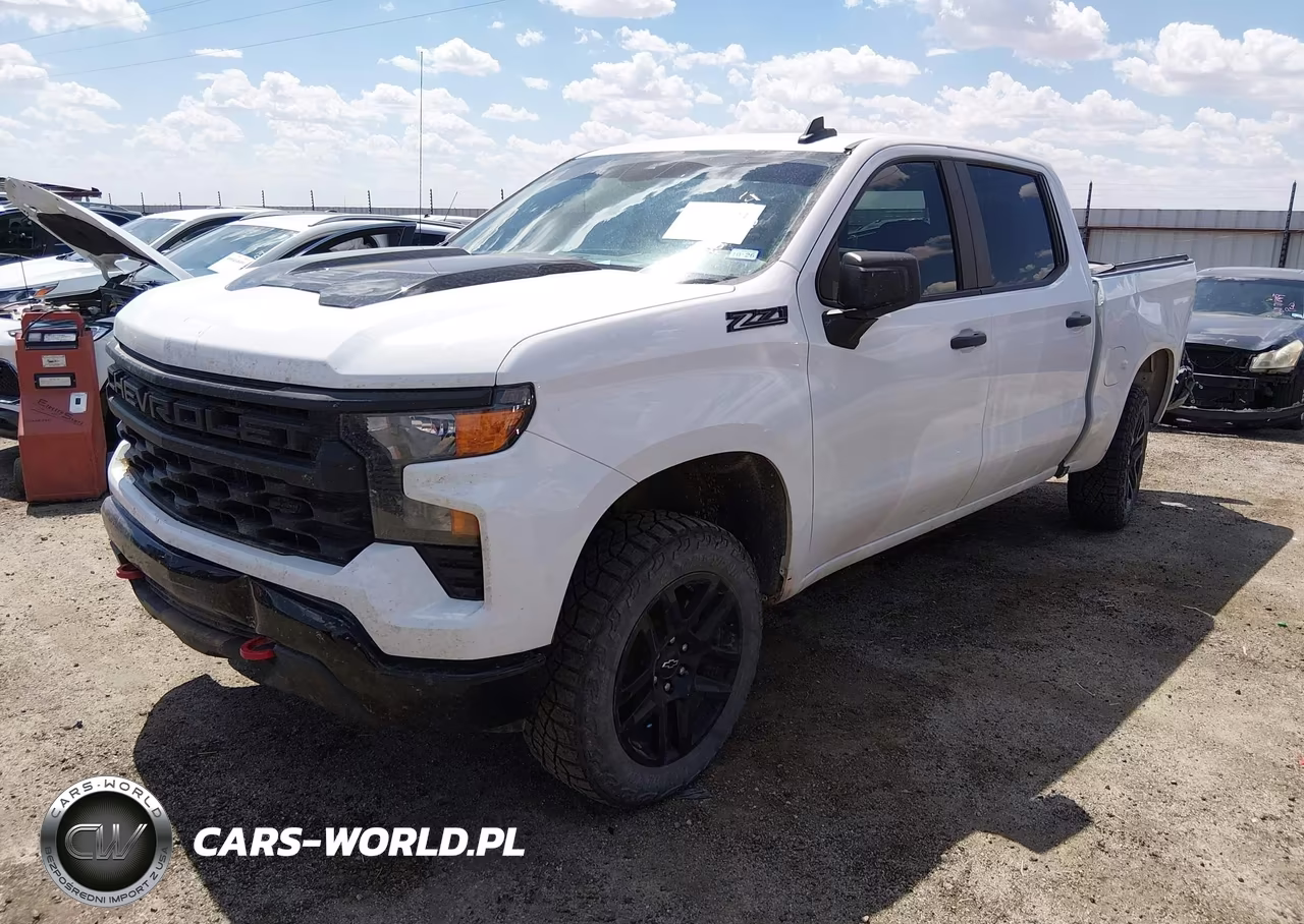 2023 Chevrolet Silverado 1500 4Wd Short Bed Custom Trail Boss VIN:3GCUDCED1PG149154 - 2