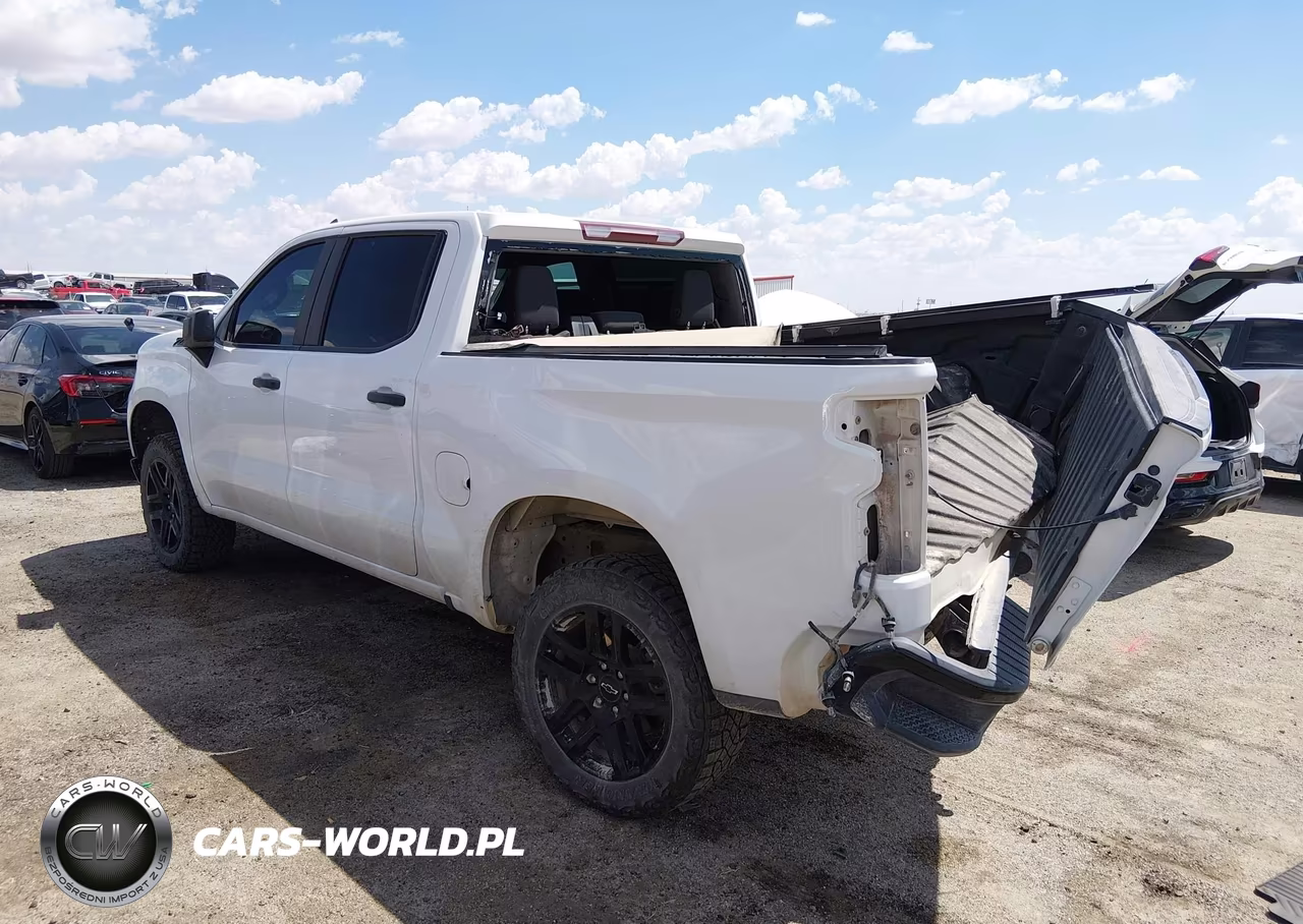 2023 Chevrolet Silverado 1500 4Wd Short Bed Custom Trail Boss VIN:3GCUDCED1PG149154 - 3
