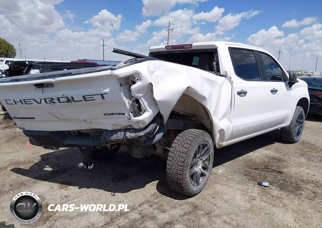 2023 Chevrolet Silverado 1500 4Wd Short Bed Custom Trail Boss VIN:3GCUDCED1PG149154 - 4