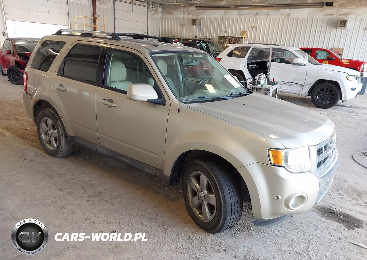 2010 Ford Escape Limited
