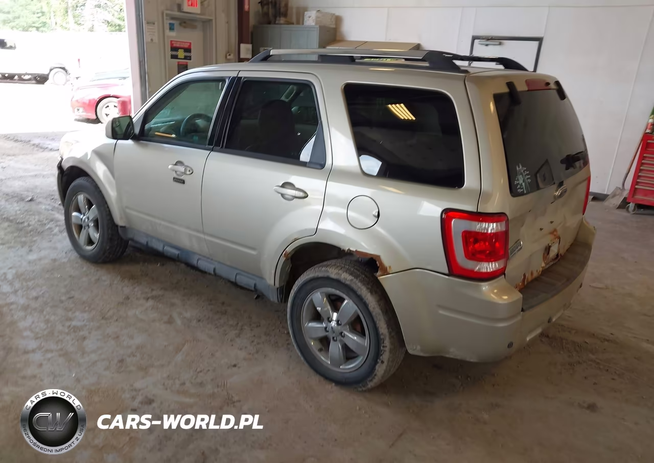 2010 Ford Escape Limited VIN:1FMCU0E7XAKB08988 - 3