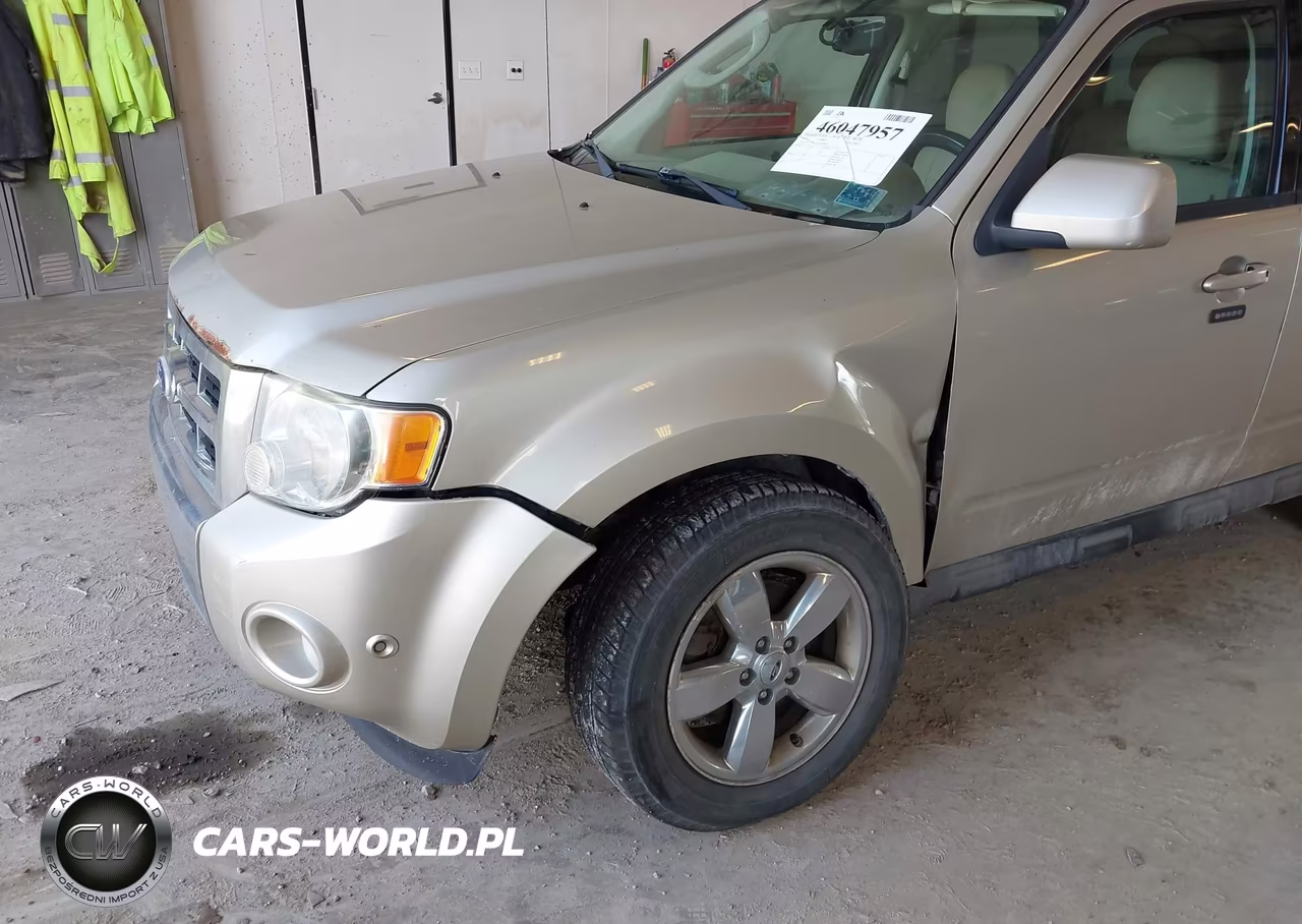 2010 Ford Escape Limited VIN:1FMCU0E7XAKB08988 - 6